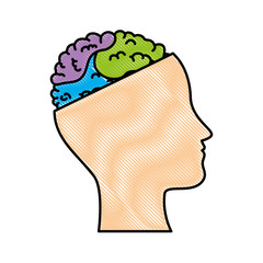 human profile with brain vector illustration design