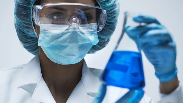 Attentive biracial chemist looking at conical flask with blue liquid inside