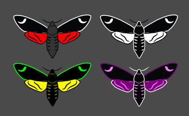 a set of images of butterflies