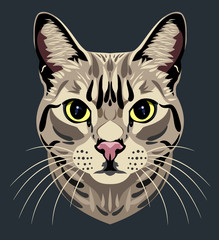 Portrait of a striped cat
