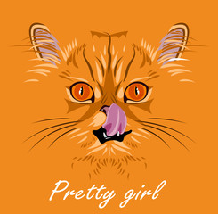 Portrait of a Persian cat