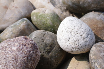 Huge Different Round Pebble