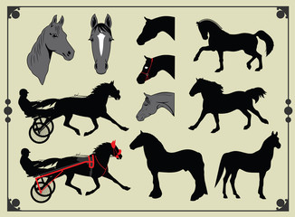 Set of images of horses