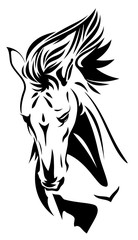 Beautiful horse image, vector