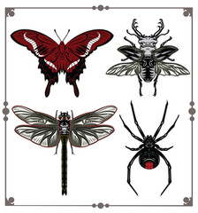 A set of insects - a horned beetle, a dragonfly, a butterfly, a spider
