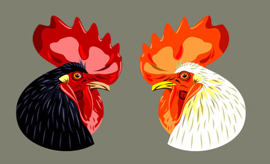 a picture of a beautiful  cock