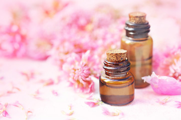 Obraz na płótnie Canvas Essential oils on medicinal pink clover flowers background, selective focus, toned
