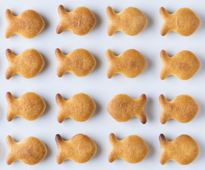 Traitor cookie, salty cracker are fish spread out on the white Background. Food Background