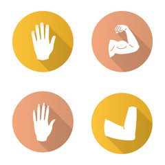 Body parts flat design long shadow glyph icons set