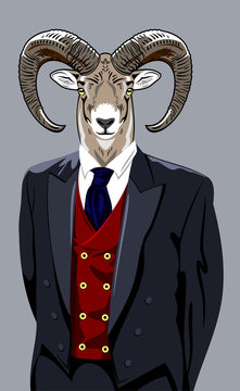 Portrait of ram, in the men's business suit 
