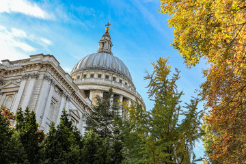 St. Paul's Cathedral in autumn