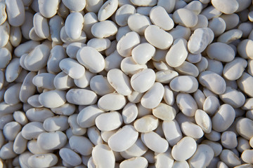 Beans, Phaseolus L. - seeds with medicinal properties. 
