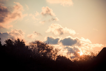 autumn sunrise silhouette