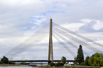 Obraz premium large suspension bridge over the river