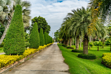 Obraz premium Road in the park
