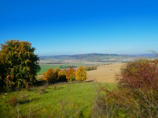 Herbstlaub_Rhoen_2