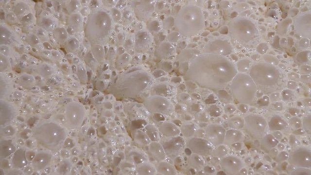 Fermentation process of yeast at the factory for baking bread close-up. Ripe sourdough yeast ferments in a vat. Fermentation of yeast ferment close-up at the factory. Bread Factory.