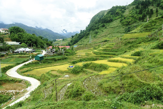sight of the village of Sin  Chai in the Sapa valey in Vietnam.