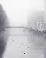 Foggy morning in the city - Strasbourg