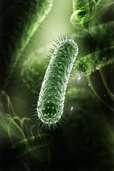 3d rendered Bacteria cells in colour background