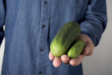 big and small cucumber in the hand of a man