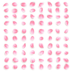 Set of pink rose petals close-up on white background. EPS 10 vector