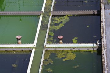 Klärbecken zur Reinigung von Abwasser