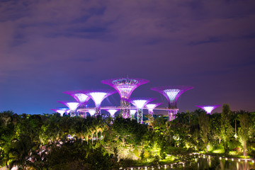 Fototapeta premium Night view of Supertree garden, Garden by the Bay, Singapore