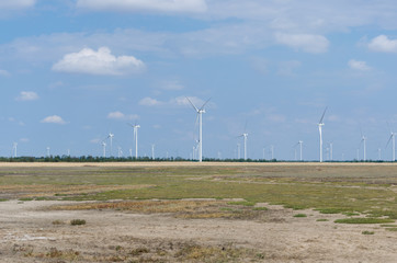 Fototapeta na wymiar A wind farm in the wide spread field