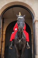 Czarny koń z Gwardii Królewskiej z siedzącym na nim żołnierzem ubranym w tradycyjny, ceremonialny mundur, Londyn, Wielka Brytania © Wioletta