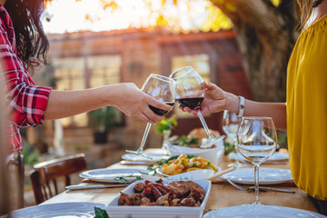 Women friends toasting red wine