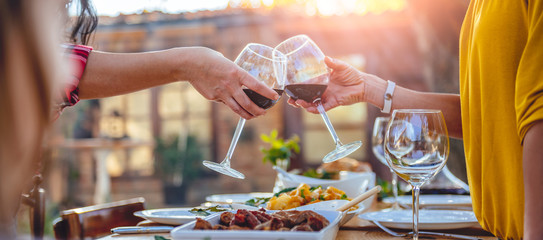 Women friends toasting red wine