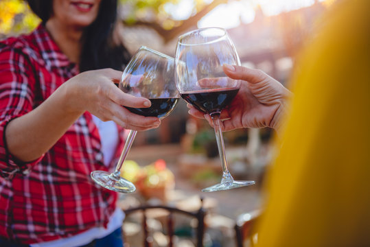 Women friends toasting red wine