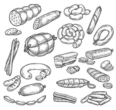 Sketches of sausage and wurst, meat products