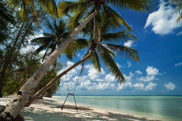 Tropical beach landscape. Clean turquoise sea with palm trees and white sands. Swing in coconut tree