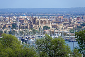 Fototapeta na wymiar Palma de Mallorca-Skyline
