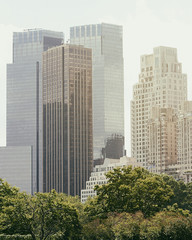 Buildings in New York seen from Central Park