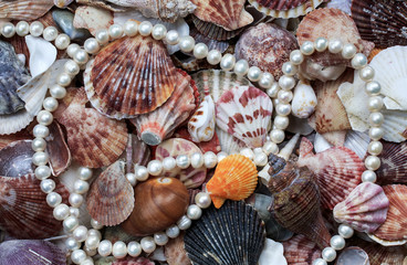 elegant marine background with colorful sinks and a string of pearls beads
