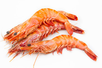 crevettes © ALF photo
