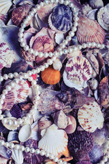 beautiful sea background with colorful shells of different shapes and sizes and chic necklace of pearls in purple tones