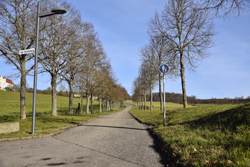 way,road, asphalt, baum, wiese, gras, allee, herbst, haus, himmel, blau, natur, landschaft, wald neresheim,germany,europa, green, land, holz, gegend, spazierengehen, dach, rot, clouds, white