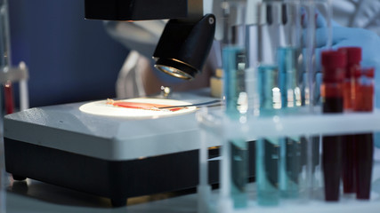 Laboratory scientist doing medical research on blood samples, microscope closeup