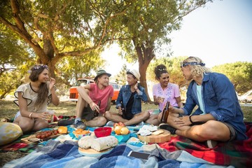 Friends talking while having food during picnic