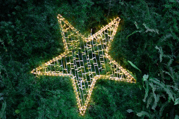 Gold star with lights on the background of green plants