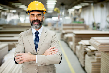Middle-aged businessman in factory