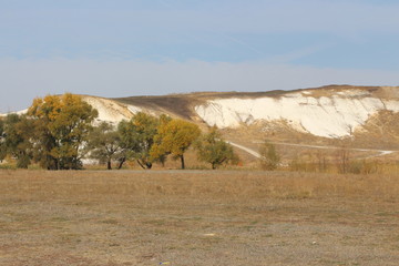 Obraz premium nature