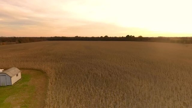 Aerial over a soybean field on a midwest farm. 