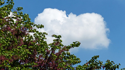 Natura incontaminata