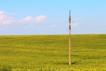 Fototapeta na wymiar High voltage power electric line support 110 kV in field of sunflowers