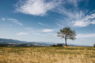 Fototapeta premium montagna